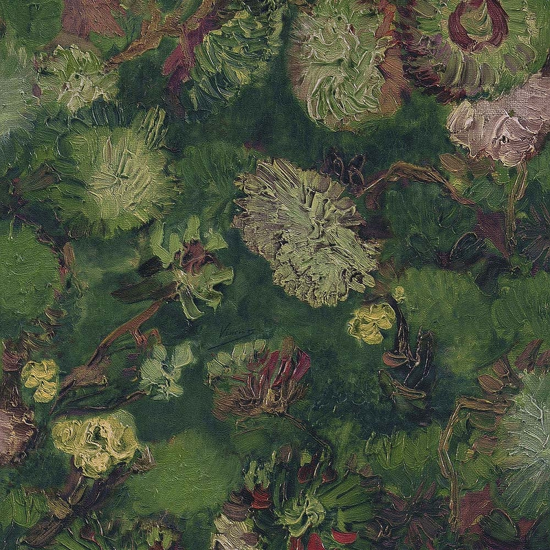 

Обои BN-INTERNATIONAL Van Gogh 2 220001 Винил на флизелине (0,53х10) Зеленый, Цветы, 220001
