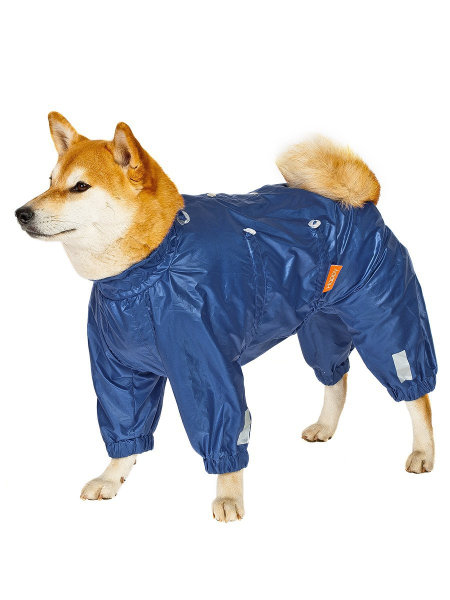 

Дождевик Happy Puppy Спорт для собак (6, Мальчик), Спорт