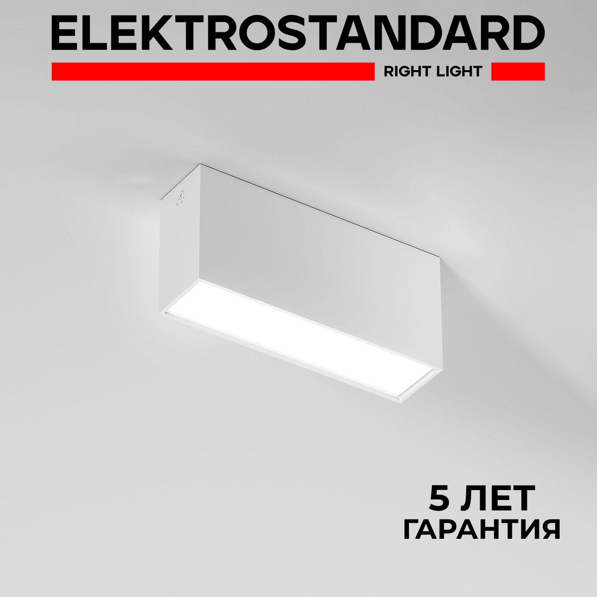 Накладной светодиодный светильник Elektrostandard Block 25109/LED 10W 4000K белый