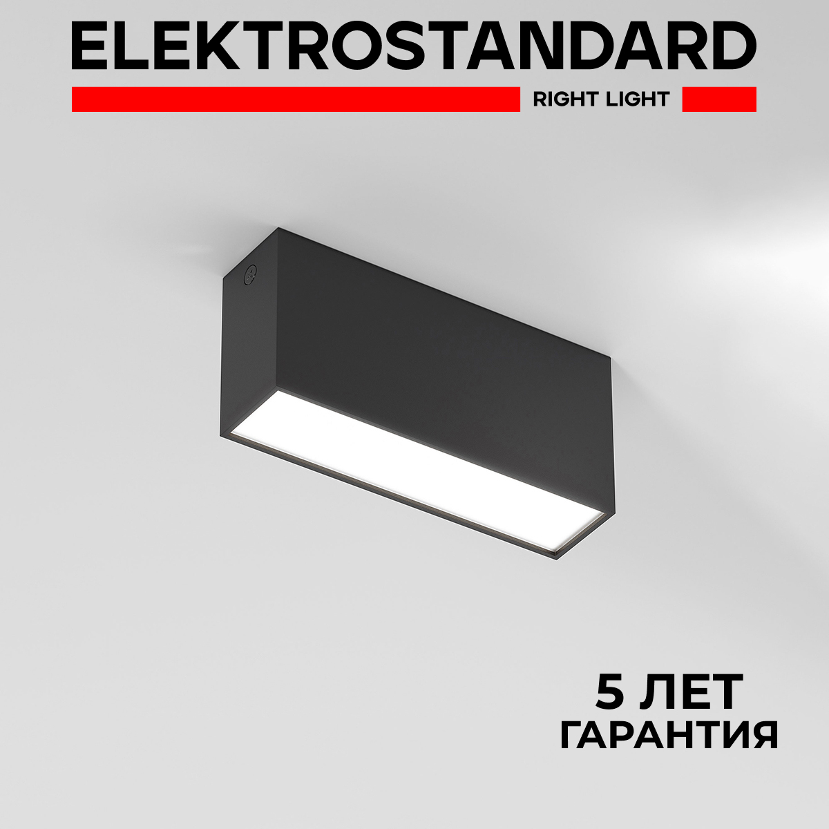 

Накладной светодиодный светильник Elektrostandard Block 25109LED 10W 4000K черный, Block