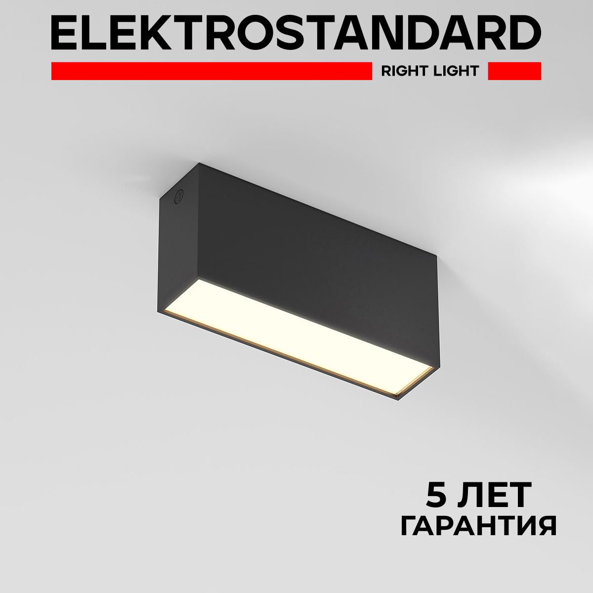 

Накладной светодиодный светильник Elektrostandard Block 25109LED 10W 3000K черный, Block