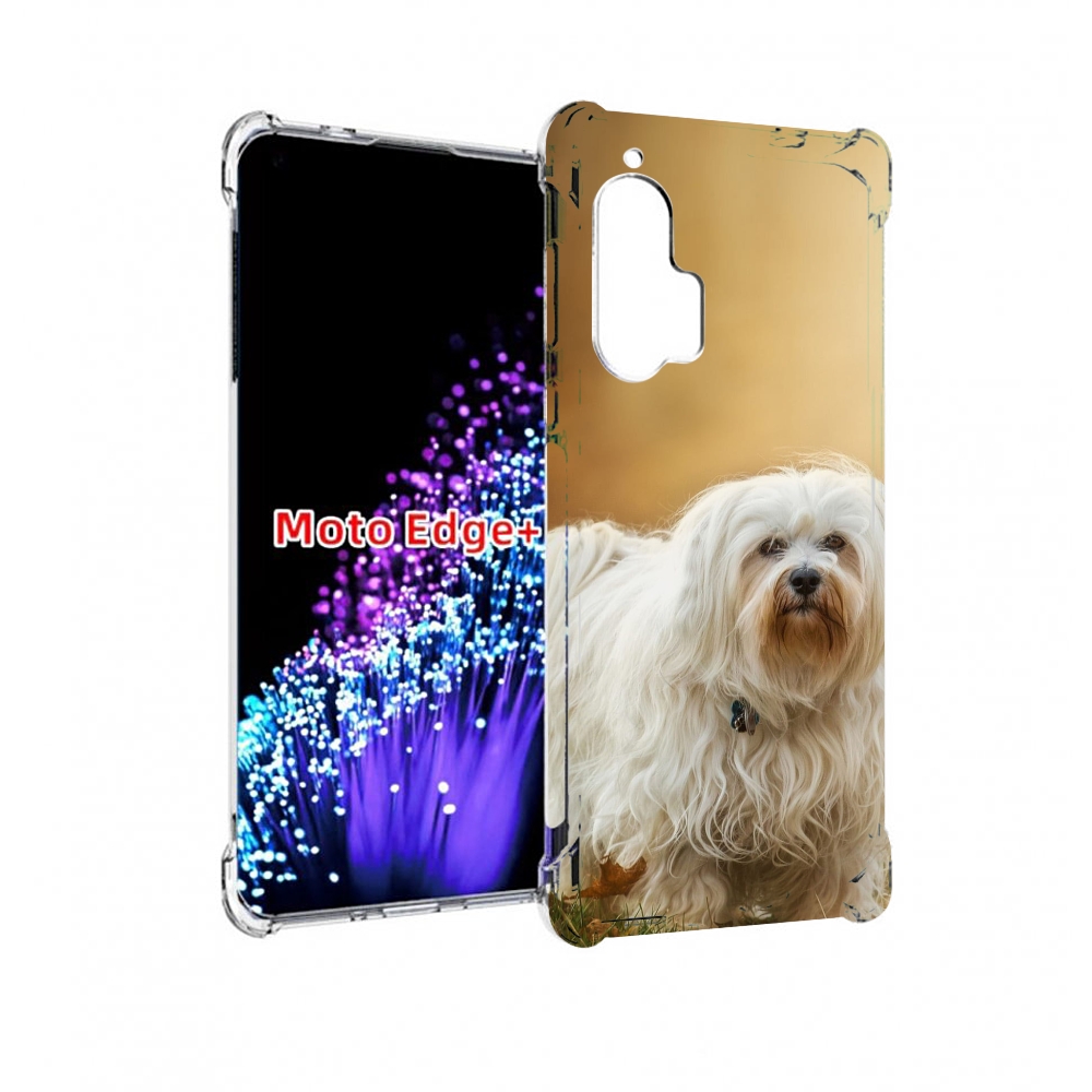 

Чехол MyPads гаванскии бишон для Motorola Edge+ Plus, Прозрачный, Tocco
