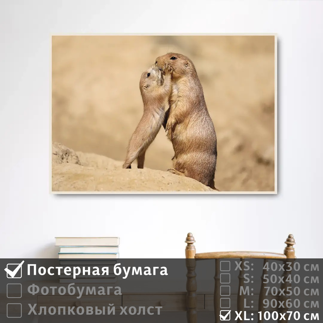 

Постер на стену ПолиЦентр Ребенок суриката целует свою маму 100х70 см, РебенокСурикатаЦелуетСвоюМаму1