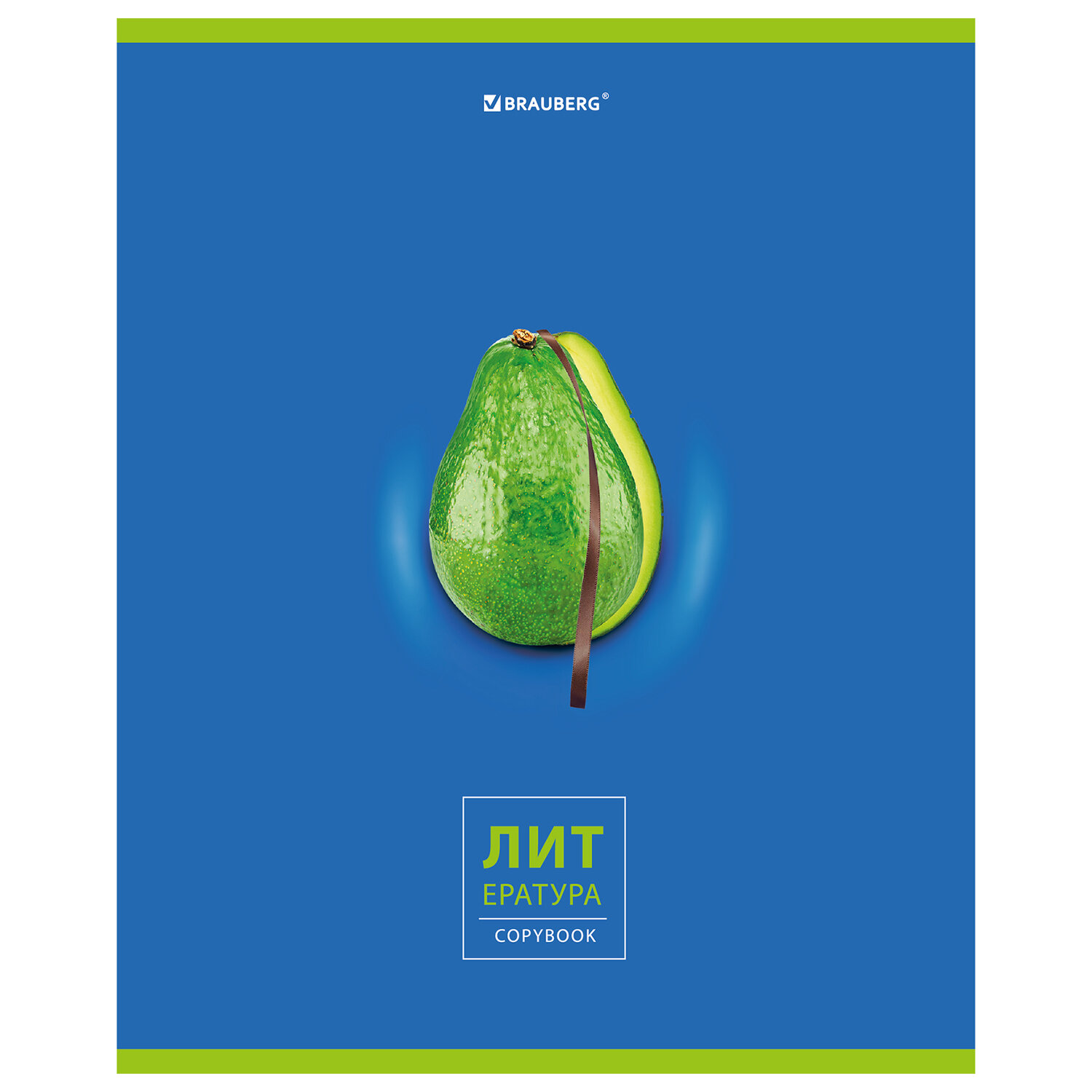 Тетрадь предметная Brauberg AVOCADO 48 л., глянцевый лак, ЛИТЕРАТУРА, линия 10 шт