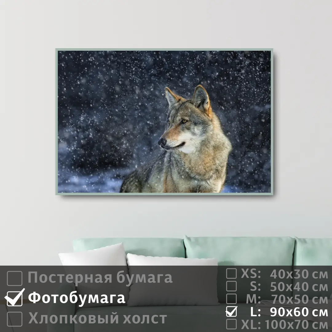 

Постер на фотобумаге ПолиЦентр Одинокий волк в зимнем лесу 90х60 см, ОдинокийВолкВЗимнемЛесу