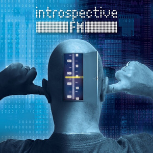 INTROSPECTIVE: F.M. (limited edition 100 шт.) (2LP)
