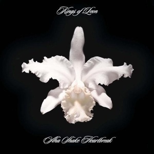Kings of Leon: Aha Shake Heartbreak Vinyl