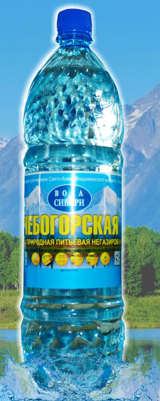

Вода природная питьевая Чебогорская негазированная столовая 1,5 л