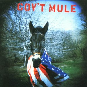 Gov't Mule - Gov'T Mule - Vinyl