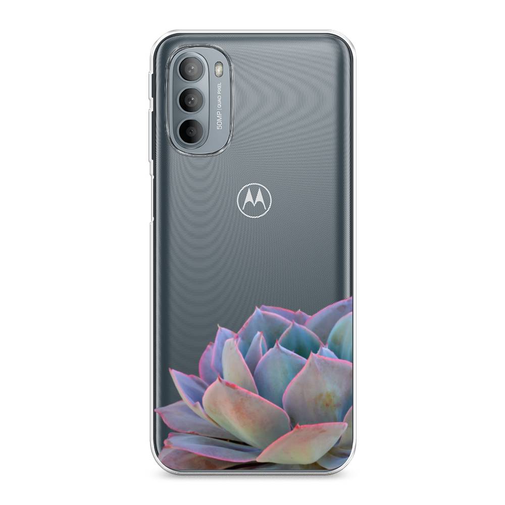 

Чехол Awog на Motorola Moto G31/G41 "Молодило уголок", Разноцветный, 241850-8