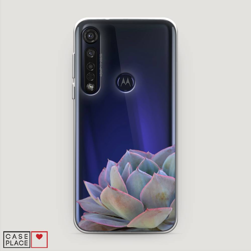 

Чехол Awog на Motorola Moto G8 Plus "Молодило уголок", Разноцветный, 241450-8