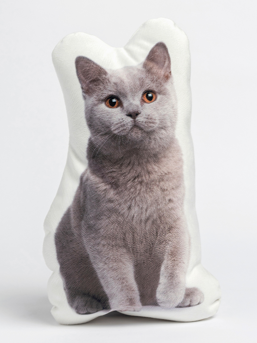 Подушка PRINT Британский кот