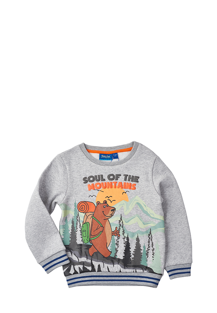 

Свитшот детский Max&Jessi AW22C21503318, серый, 110, AW22C21503318
