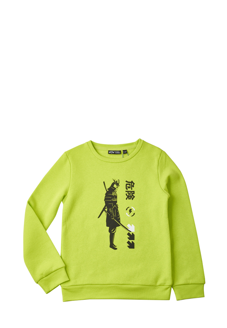 

Свитшот детский Daniele Patrici AW22C81703729, светло-зеленый, 146, AW22C81703729