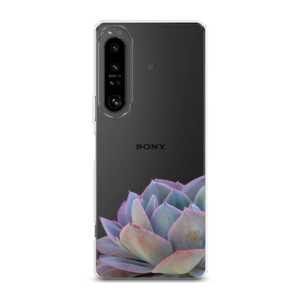 

Чехол Awog на Sony Xperia 1 IV "Молодило уголок", Разноцветный, 55150-8