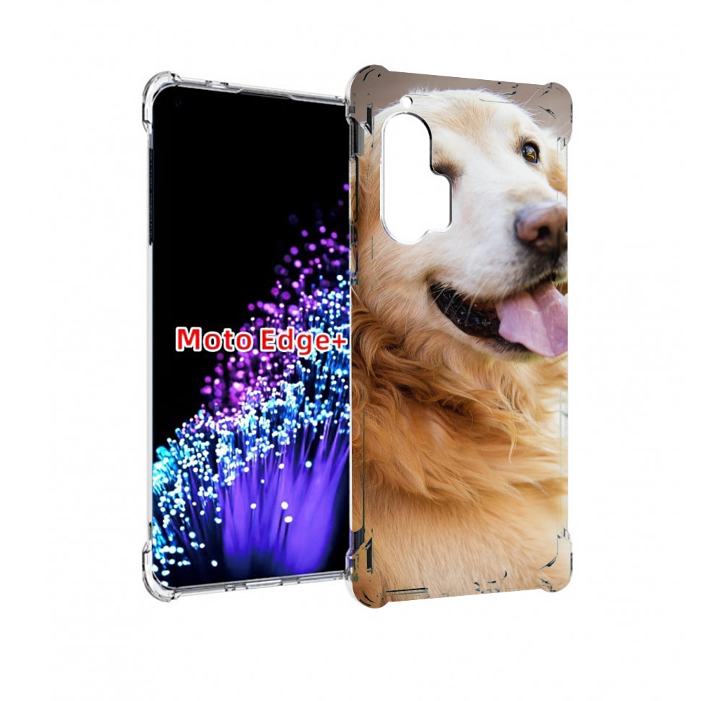

Чехол MyPads золотистыи ретривер для Motorola Edge+ Plus, Прозрачный, Tocco