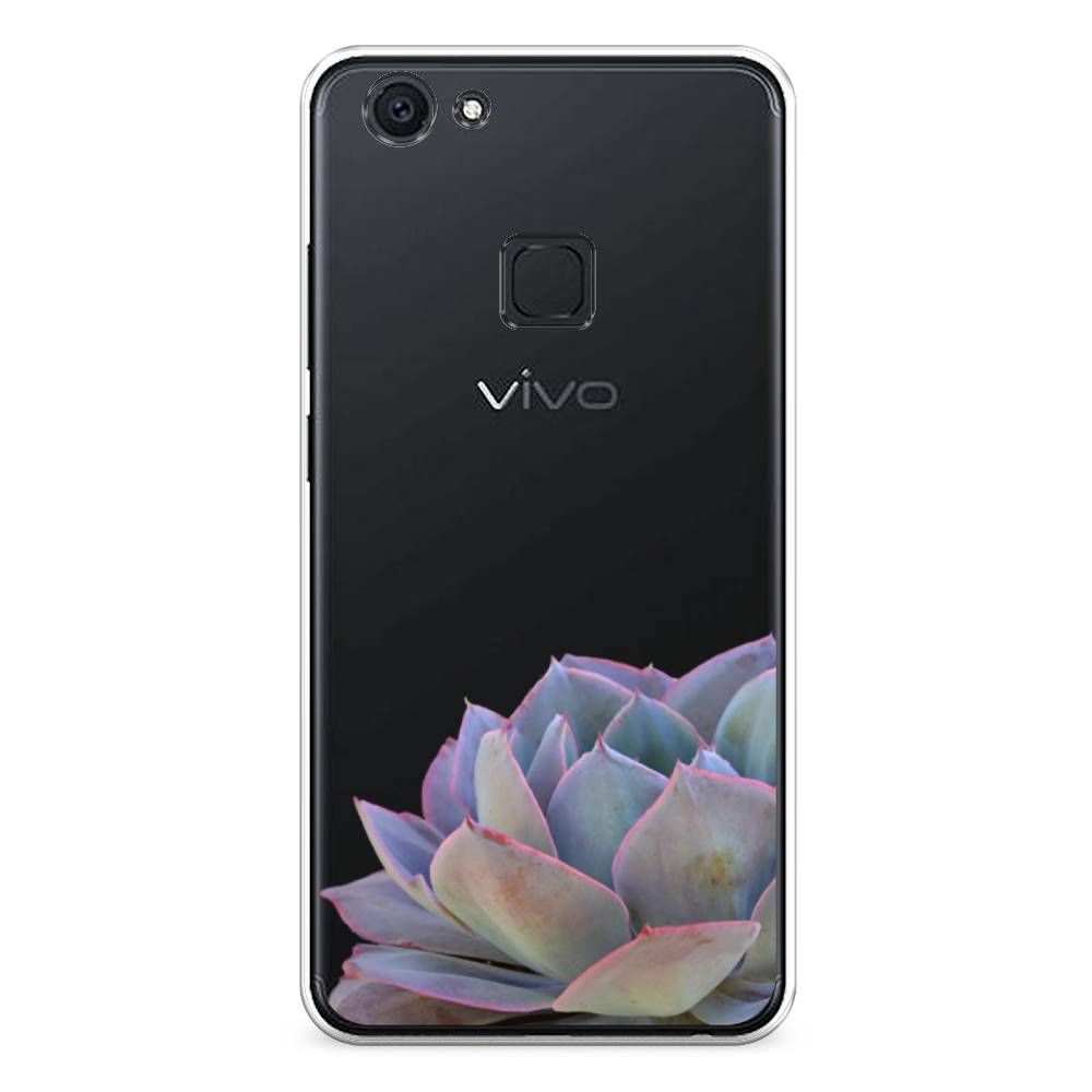 

Чехол Awog на Vivo V7 "Молодило уголок", Разноцветный, 260450-8