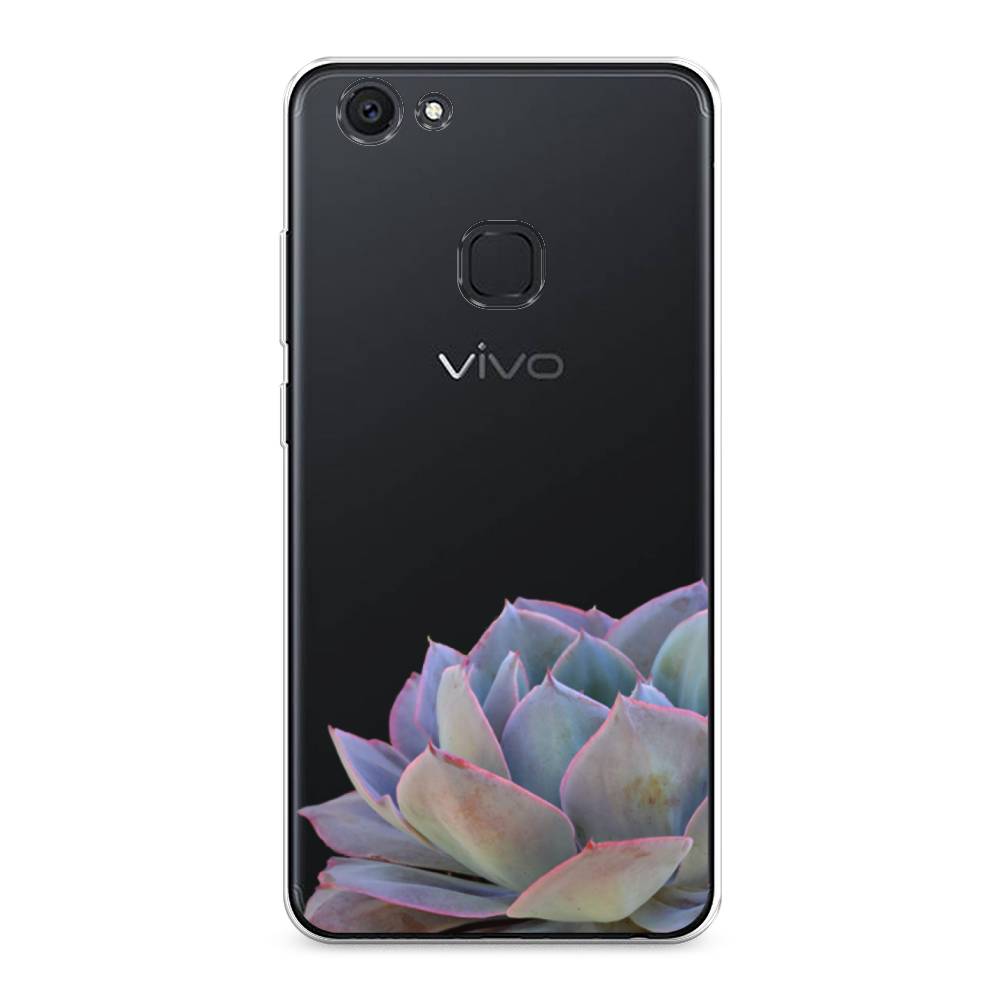 

Чехол Awog на Vivo V7 Plus "Молодило уголок", Разноцветный, 260750-8