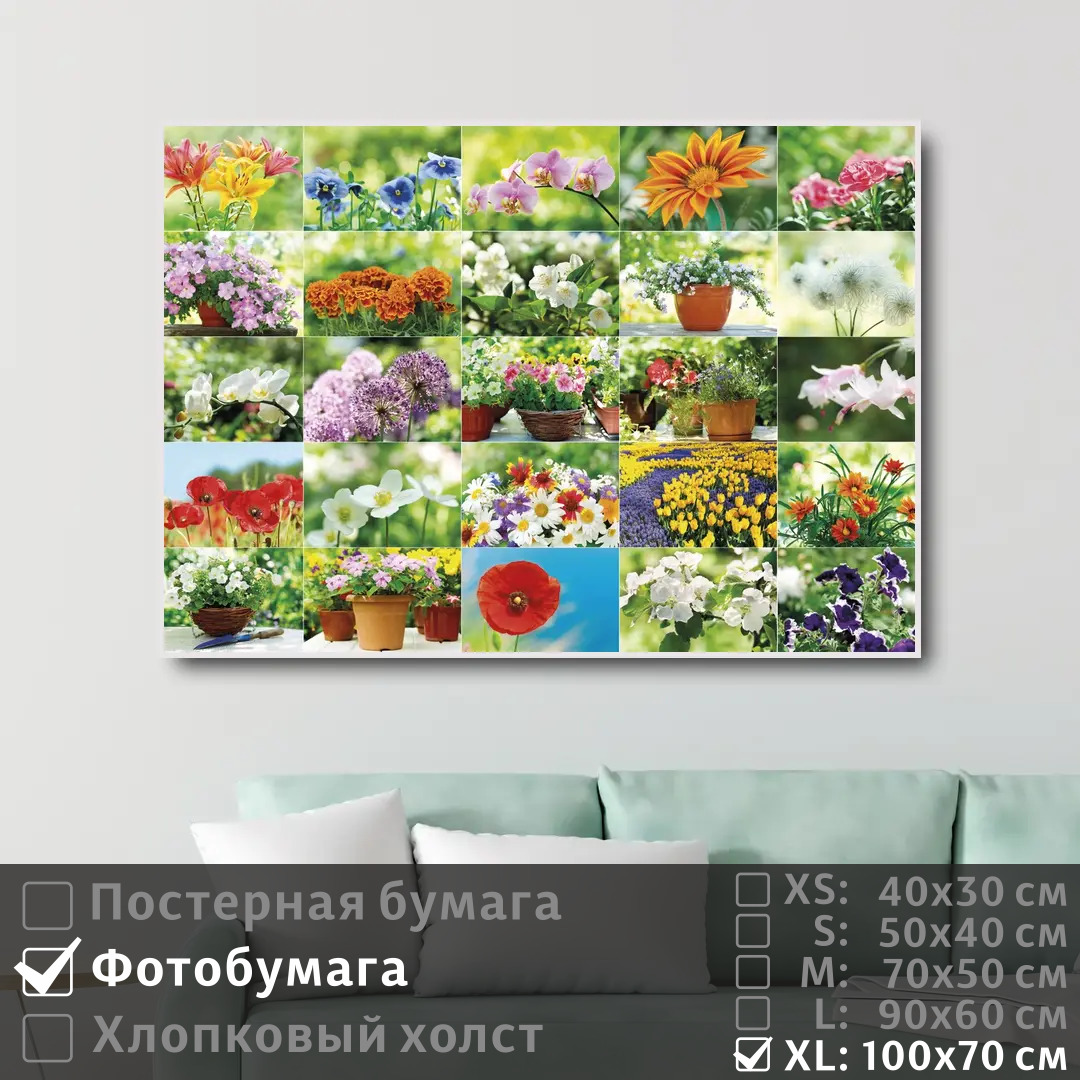 

Постер на фотобумаге ПолиЦентр Коллаж из красивых цветов 100х70 см, КоллажИзКрасивыхЦветов1