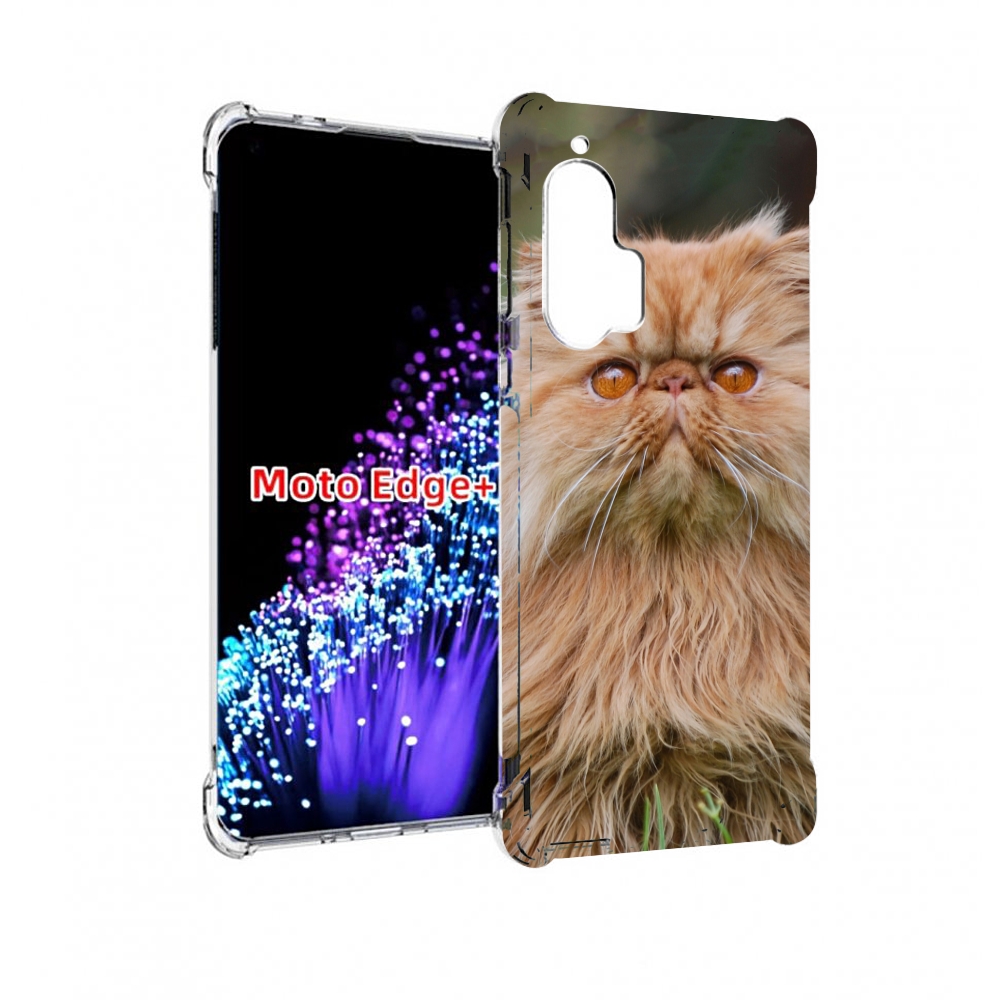 Чехол MyPads кошка персидская для Motorola Edge+ Plus