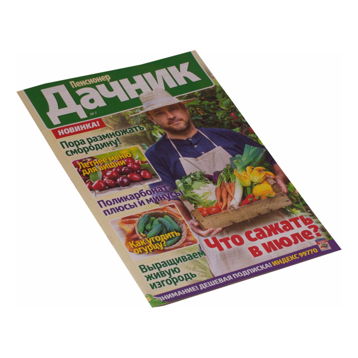 

Журнал Дачник Пенсионер на даче