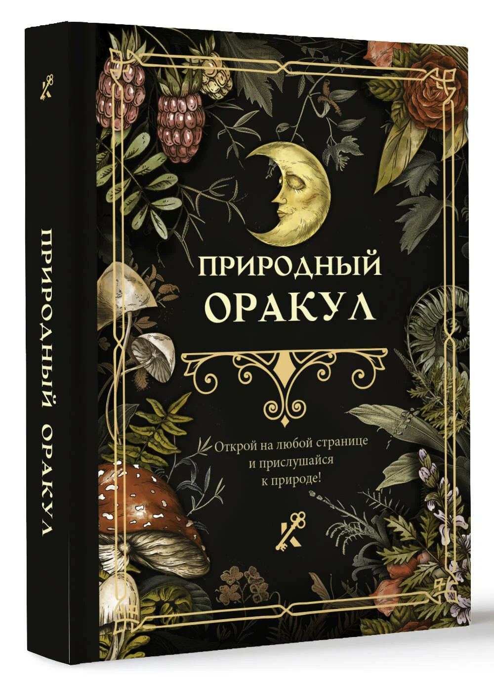 

Природный оракул, Книга гаданий