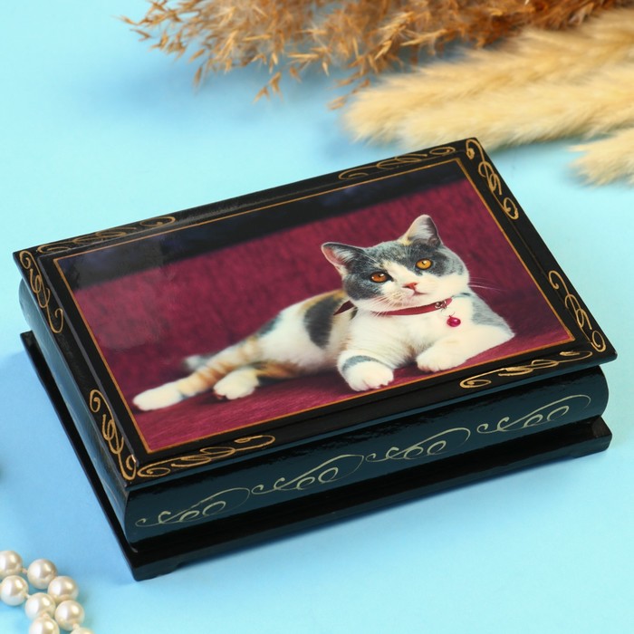 

Шкатулка "Кошка с розовым ошейником" 10x14 см, черная, Разноцветный