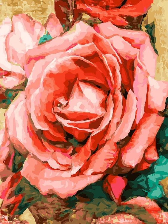 Картина по номерам Белоснежка Благородная роза