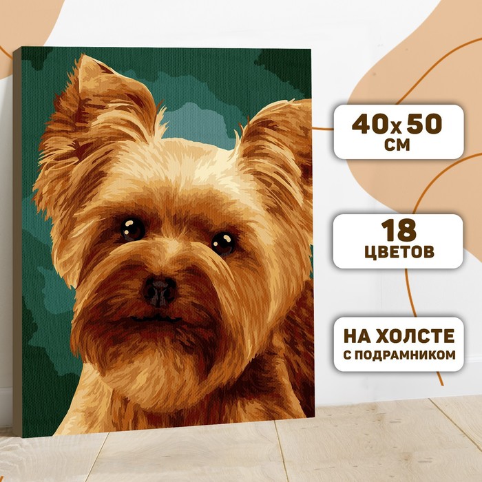 

Картина по номерам Школа талантов Малыш йорк, 40х50 см, Малыш йорк