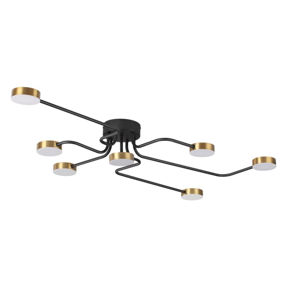 

Потолочная светодиодная люстра Lumion Ledio Flint 6532/99CL, LED, 100W