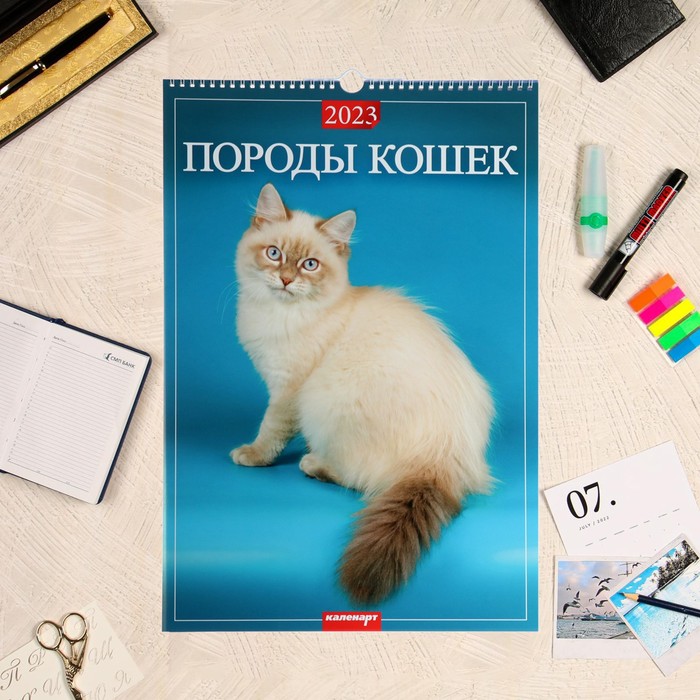 

Календарь перекидной на ригеле "Породы Кошек" 2023 год, 32х48см