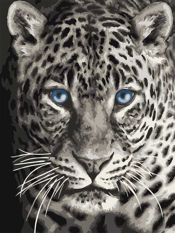 фото Картина по номерам фрея взгляд леопарда freya