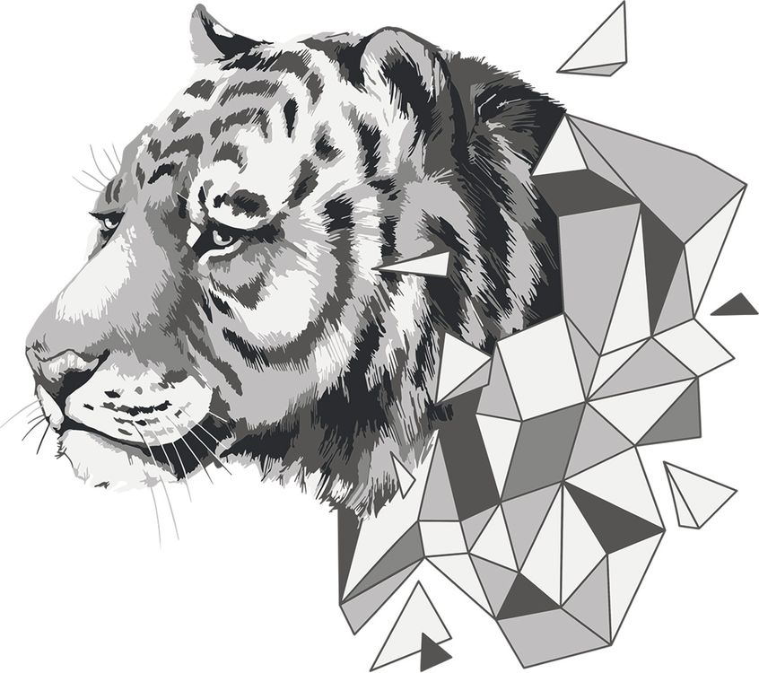 фото Картина по номерам фрея полигональный тигр freya