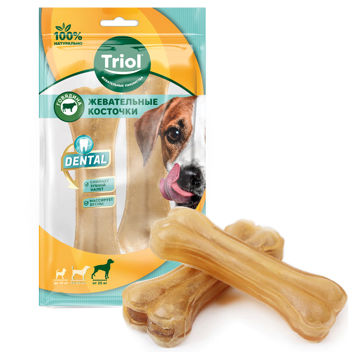 

Лакомство для собак Triol DENTAL Кость из жил, 12,5см, 2шт, 110г