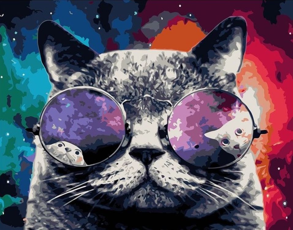 

Картина по номерам Paintboy (Premium) Космический кот, Космический кот