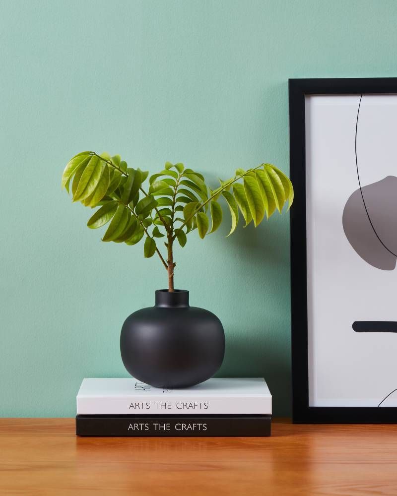 

Интерьерная ваза Eglo SIRANANA 421212, SIRANANA