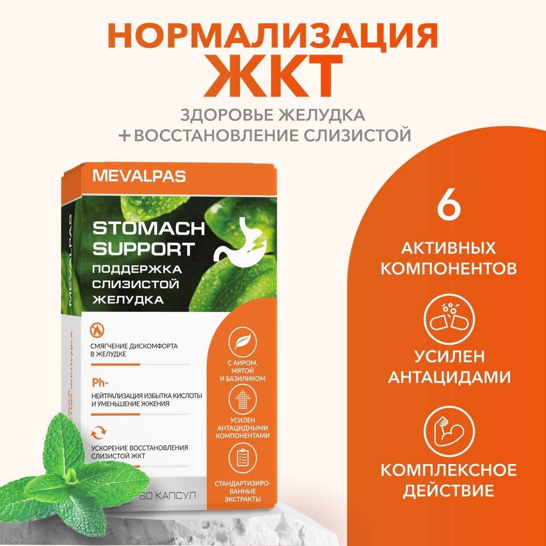 Комплекс для поддержки слизистой желудка Mevalpas Stomach support капс 60 шт