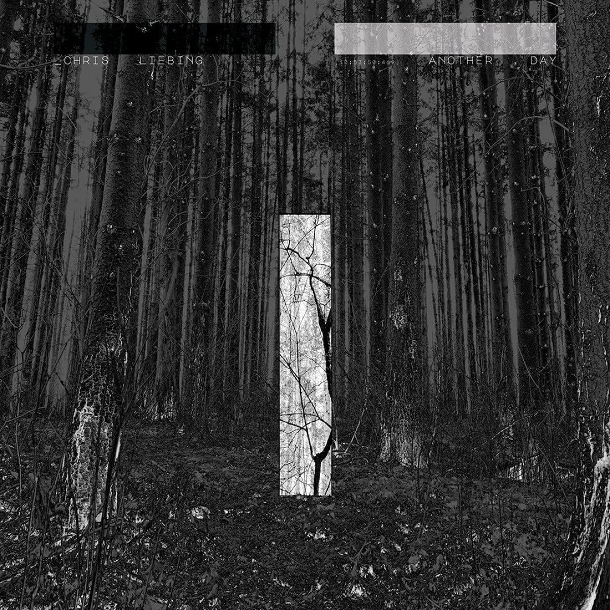 

Виниловая пластинка Chris Liebing Another Day (2LP)