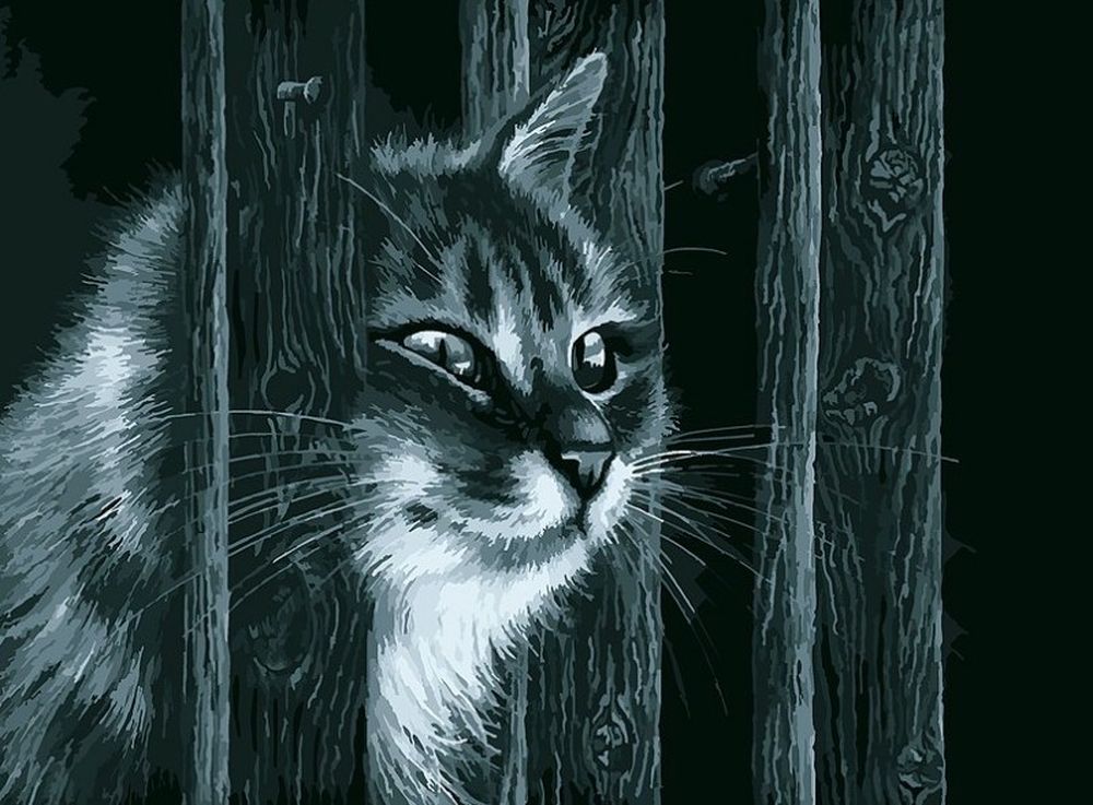 

Картина по номерам Белоснежка Любопытный сосед, Любопытный сосед