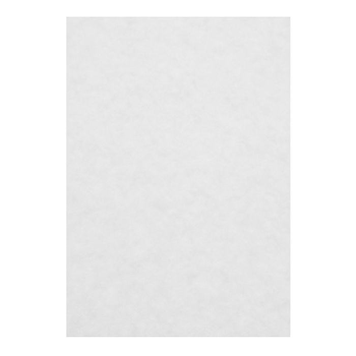 

Бумага рисовальная А4, 100 листов, 200 г/м