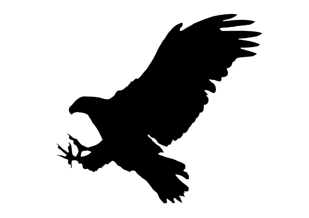 фото Наклейки стикеры силуэты хищных птиц, вариант 13 торнадика