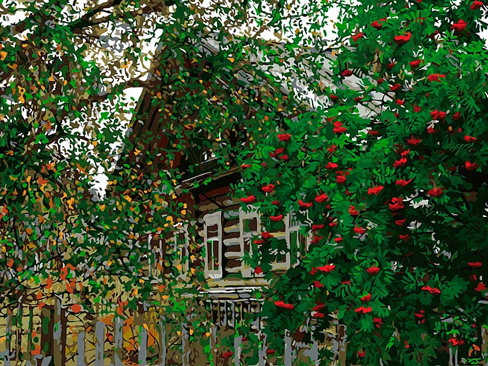

Картина по номерам Цветной (Standart) Деревня, Деревня