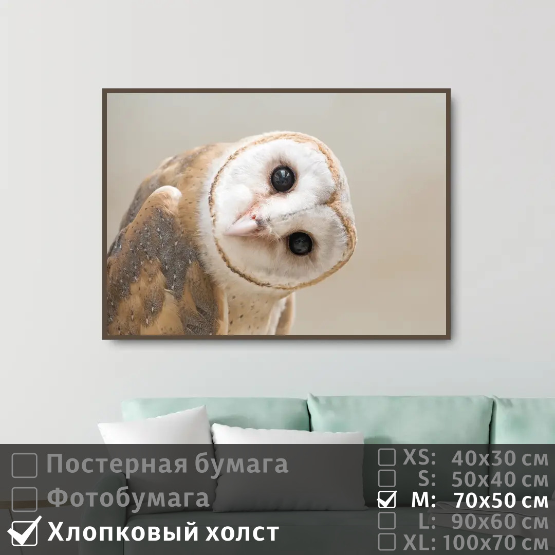 

Постер на холсте ПолиЦентр Забавная сова сипуха 70х50 см, ЗабавнаяСоваСипуха