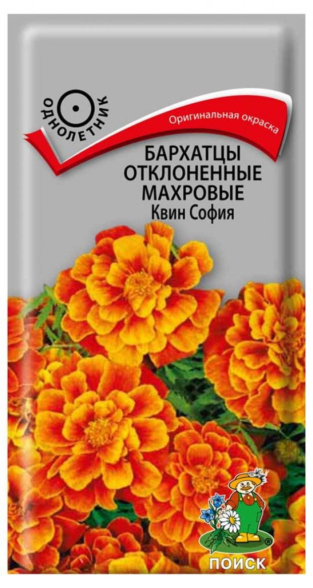 

Семена бархатцы Поиск Отклоненные махровые квин софия 1 уп.