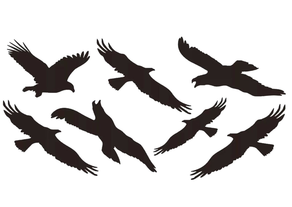 Наклейки стикеры силуэты хищных птиц, вариант 7 (Размер А4)