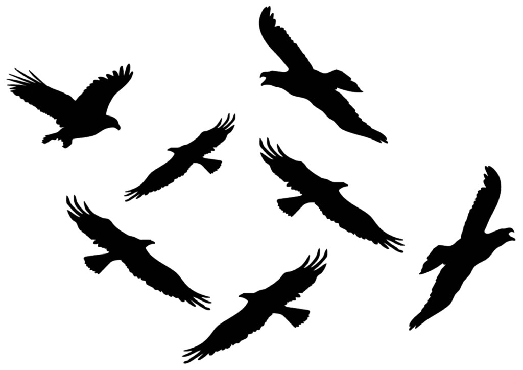 Наклейки стикеры силуэты хищных птиц, вариант 8 (Размер А4)