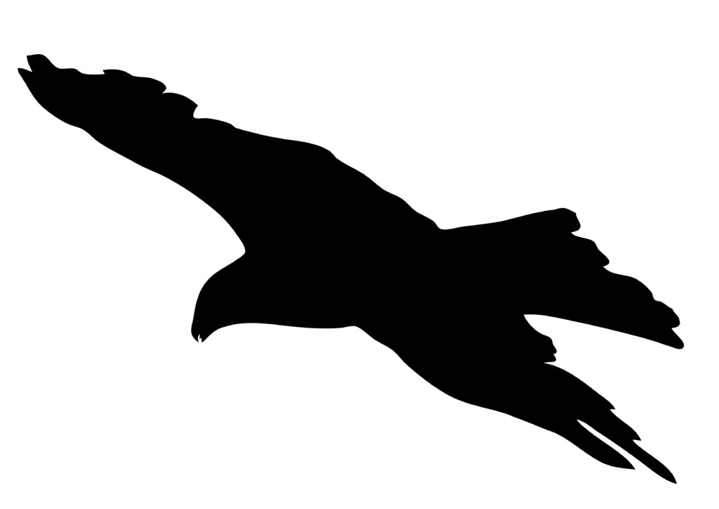 Наклейки стикеры силуэты хищных птиц, вариант 30 (Размер А3)