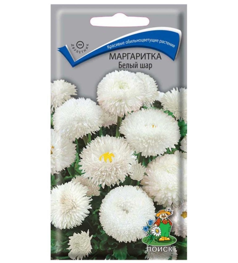 

Семена маргаритка Поиск Белый шар 1 уп.