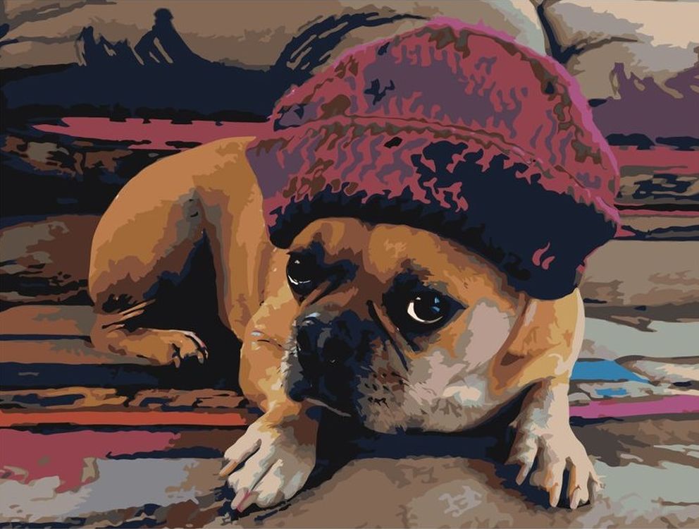 фото Картина по номерам живопись по номерам собака в шапке