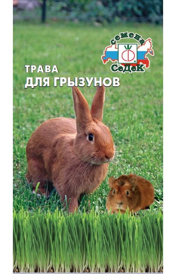 

Семена Трава Для Грызунов 10 г